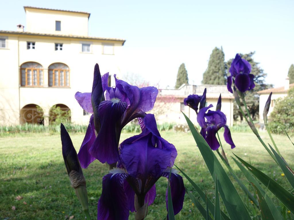 Bella Di Ceciliano Bed & Breakfast Arezzo Exterior photo